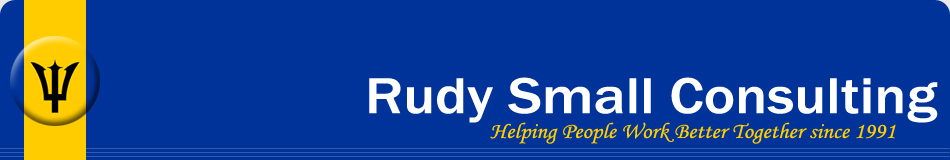 rudy small consulting